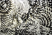 water based pigment ink marker on paper