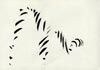 Brush, indian ink on paper